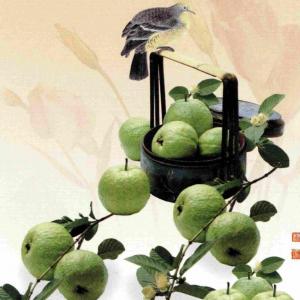 【4062】Viewing & Observing Instruments 觀察儀器