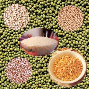 【2010】Cereals & Beans 米糧雜豆